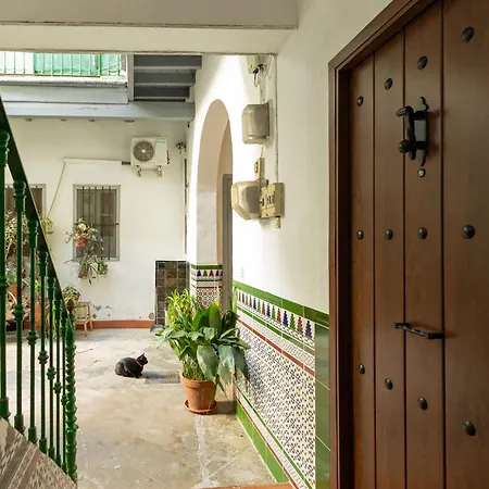 Modern Spacious Of Apartment Seville