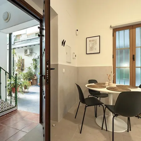 Apartment Modern Spacious Of *